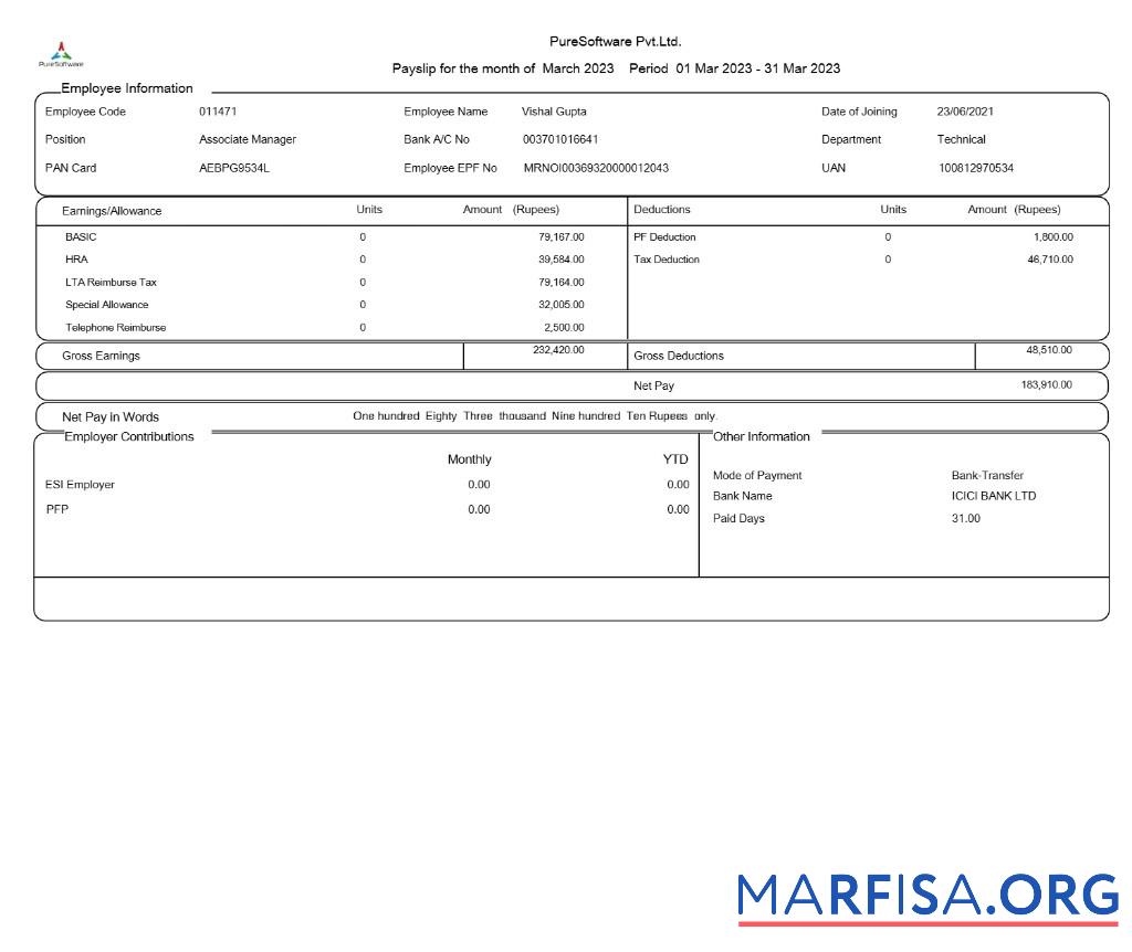Realistic PureSoftware payslip sample
